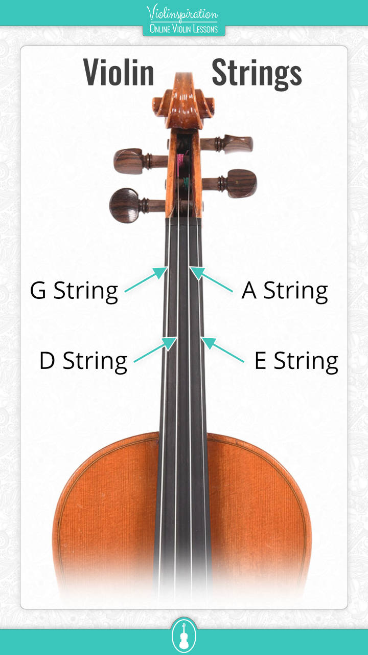 violin string names