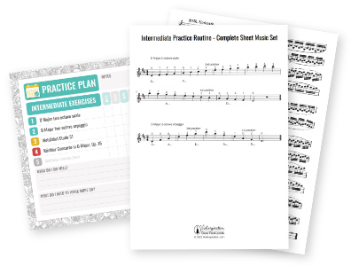 violin practice routine - Intermediate Practice Routine sheet music