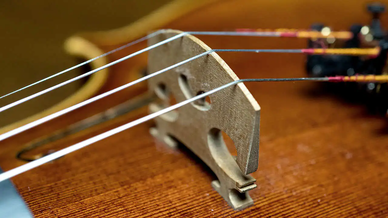 Close-up of four violin strings positioned closely together over the bridge