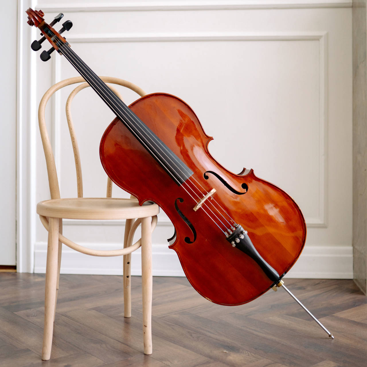 violin vs cello - Cello