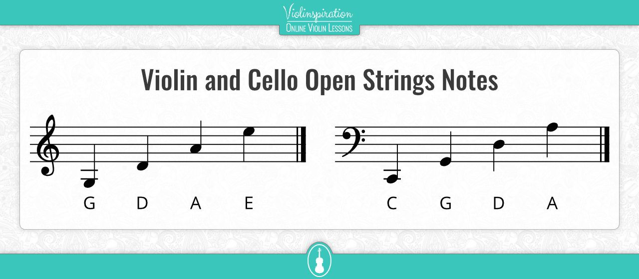 Violin Vs Cello: Which Is Right for You? - Violinspiration