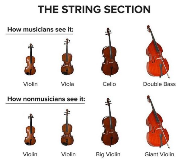 Violin Vs Cello Which Is Right for You? Violinspiration