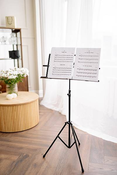 violin wedding songs - note stand