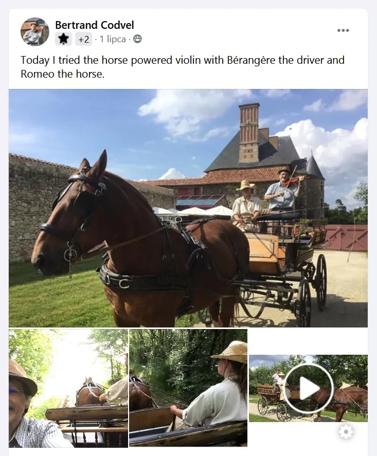 Facebook group post showing a man playing violin on a horse-drawn carriage